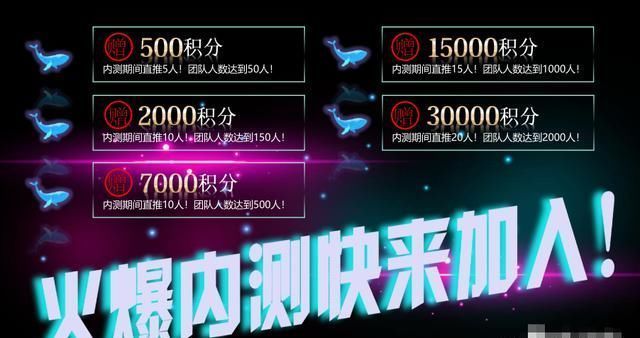  宠物|“海洋之星”宠物盘崩盘跑路，卷走金额高达数千万之多