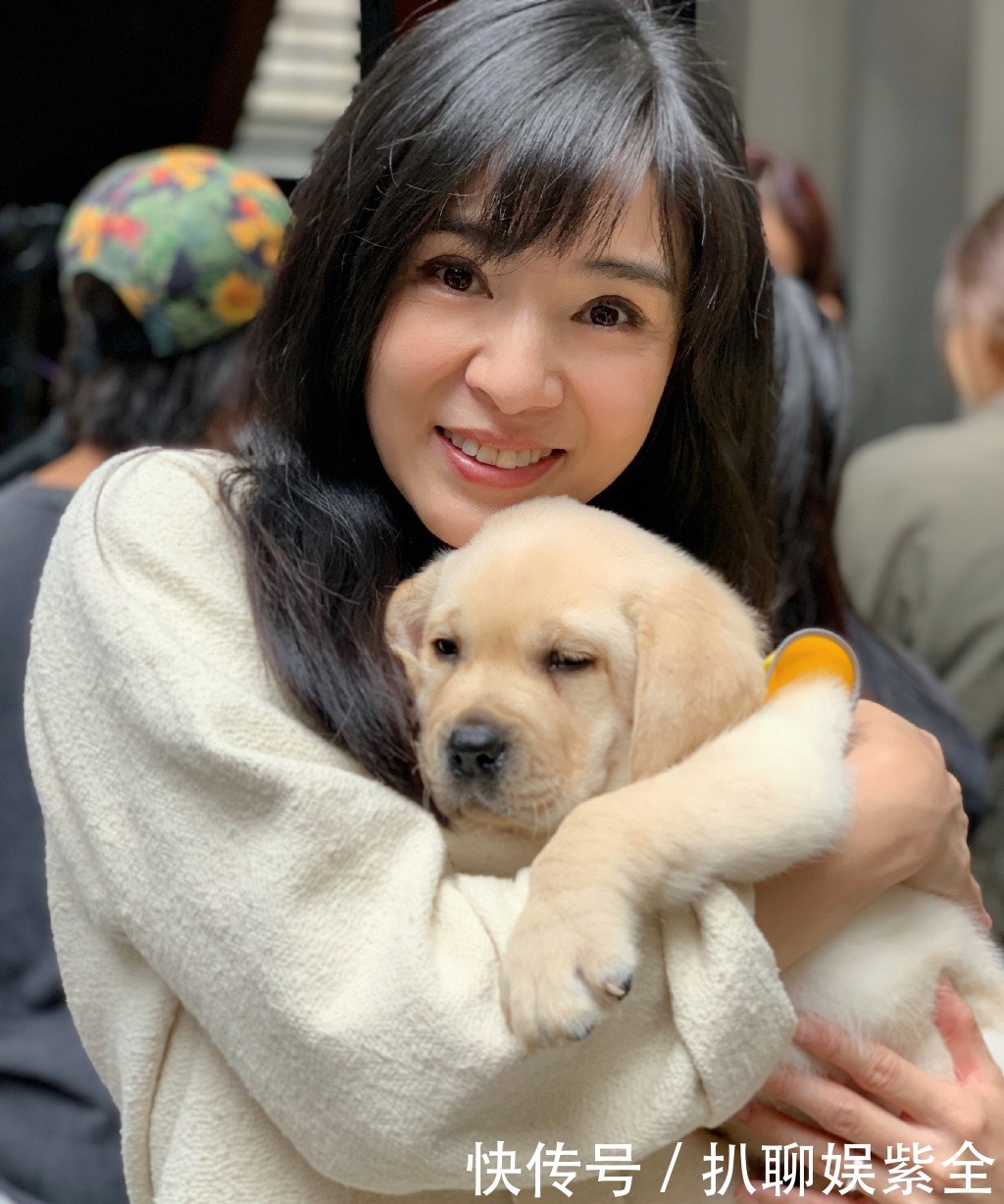  迟暮|美人不迟暮！杨采妮的图集