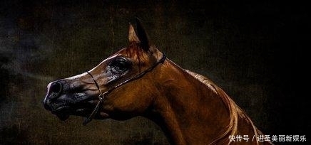 过后|三生肖: 12中旬过后事事如意, 子女孝顺, 往后生活大红大紫