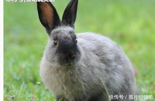  男子|公交车上，两男子对骂，旁边一个男的说了句话，被俩男子暴打