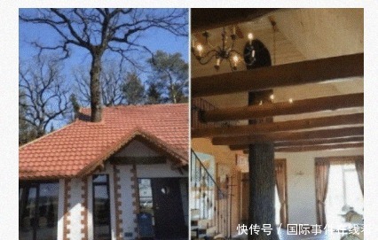 来撑|这伴娘怕不是来撑场子是来砸场子的吧!哈哈哈