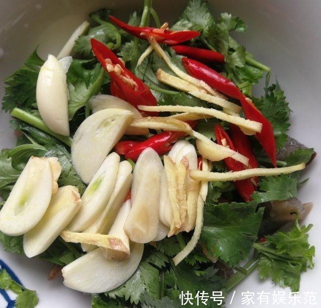 开胃|香菜拌海参,酸辣开胃,咸鲜入味儿