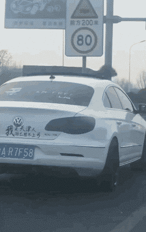 搞笑|搞笑GIF：主人假装晕倒，那只假装看不见的你是不是有点过分了！