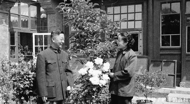 赵清阁|为了老舍,赵清阁一辈子未嫁,在错的时间遇到对的人终是错付一生