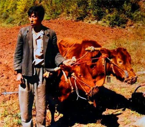  博物馆|最低调的文物：专家鉴定3次皆为赝品，他50元买下，如今价值上亿