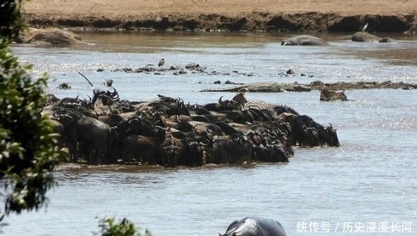 肯尼亚|肯尼亚十大旅游景点一览:大草原、湖泊、野生动物的家园
