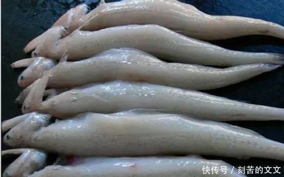 认出|海鲜大全, 你能认出多少