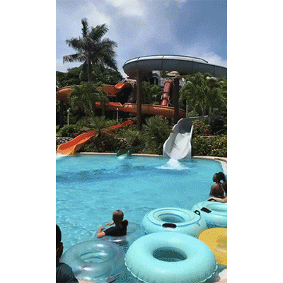 实力|搞笑GIF:我也想低调,可实力不允许啊!