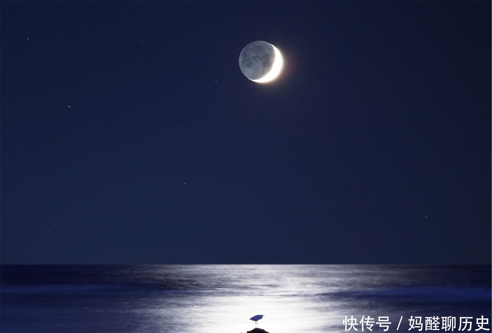 船上|对付骗子，只能“以其人之道还治其人之身”