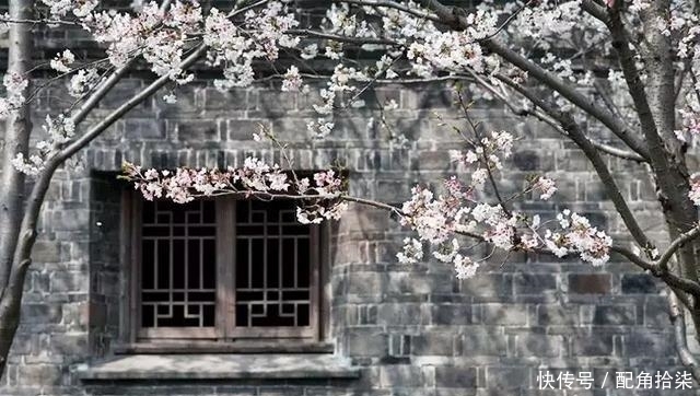 祖先|清明为什么要祭祖?这是我听过最好的答案