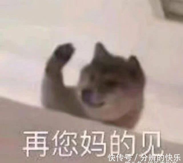 老公|幽默笑话:昨天半夜开空调老公半夜被冻醒了,只见老公被冻的瑟瑟