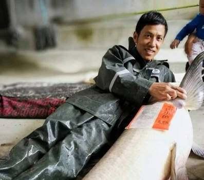 问道|秦桧的后人考中状元后，被乾隆问道其祖先是谁，用7个字巧妙应对！