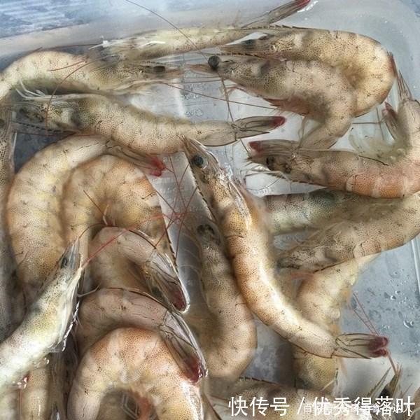  蛋白质|冷冻对虾这样做 味道鲜美 名字也很拽 很受欢迎的街边小吃 虾扯蛋