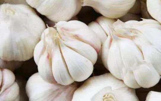  实用|今天才知道，大蒜上有一个机关，轻轻一按蒜皮马上脱落，简单实用