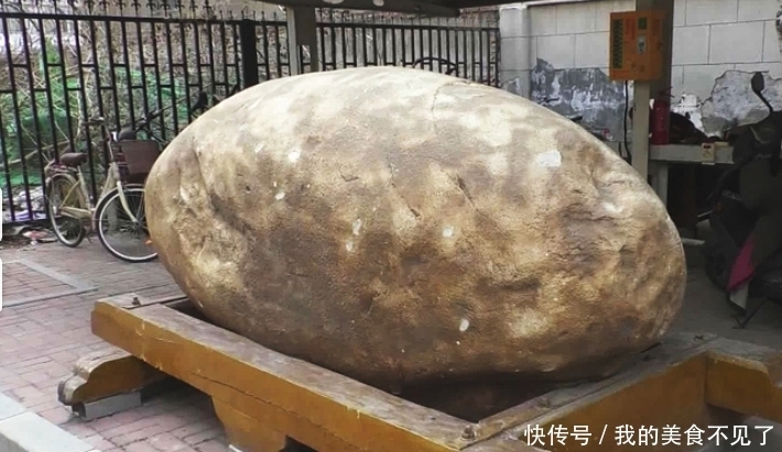 块石头|价值千万玉石放路边无人认领,居民不堪其扰,拥有者:没事不怕偷