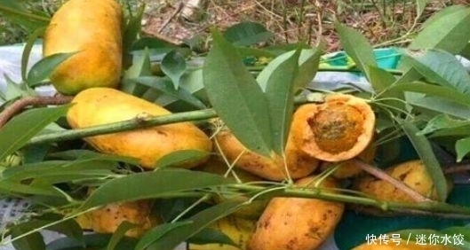  身体|女性想要身体好常吃的4种食物，清热排毒，平肝降压，谁吃谁受益