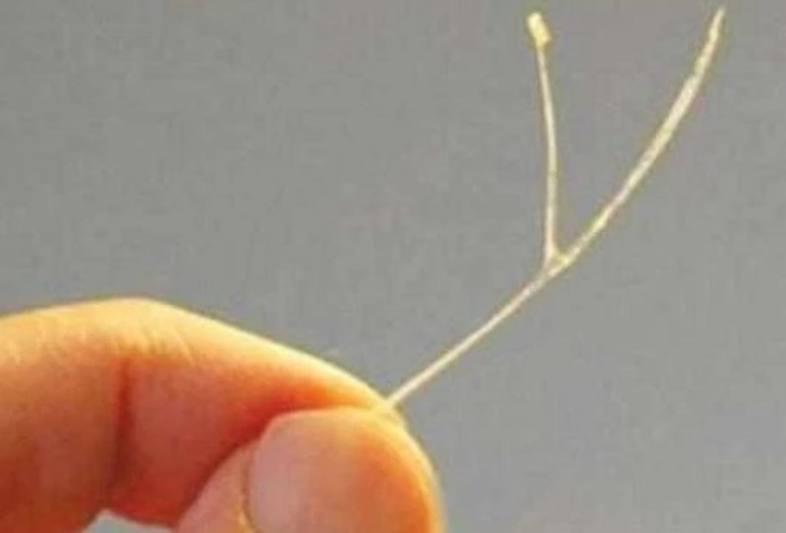 鱼刺|鱼刺卡喉咙里别再喝白醋了,教你一个小妙招,鱼刺自动消失不见!