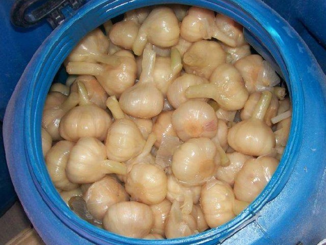  竟是|小小一颗蒜，竟是全家的保健“药”，每天来一瓣，保健效果佳