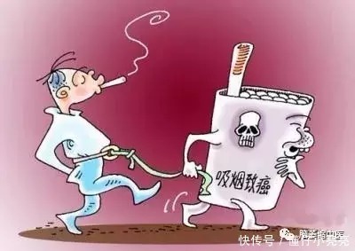 大脑|不良的习惯或让人大脑变的迟钝