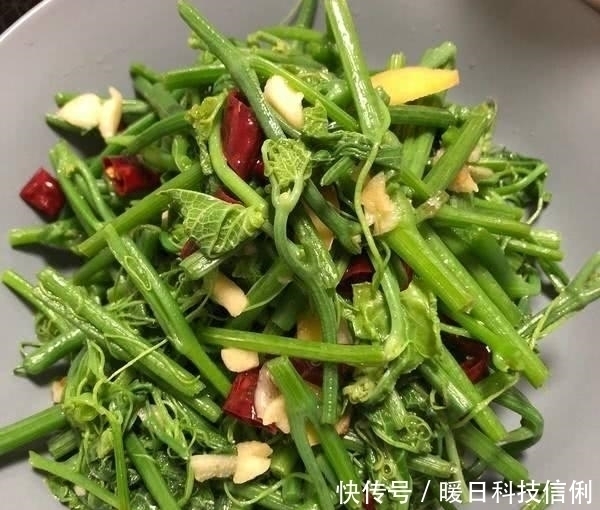 不腻|夏季吃这菜,一斤2块钱,百吃不腻,清肠又排毒,腰细了,腿瘦了