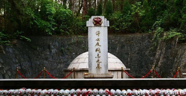 枪毙|连长抓到一小兵，正要枪毙，许世友留着他！