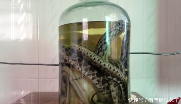 却是|最“难以下咽”的四种美食,但在有些人眼中却是美味,尤其是图4