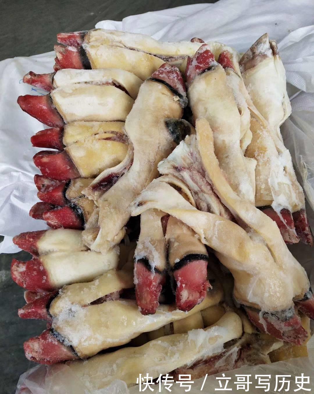 肉制品|为什么买肉的时候有猪蹄,没有牛蹄羊蹄?肉贩子告诉你实情