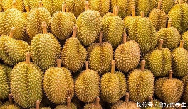 榴莲|一颗榴莲树能长很多榴莲,为什么榴莲还那么贵呢