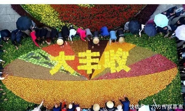 大丰收|云台山大丰收！快，抢先看