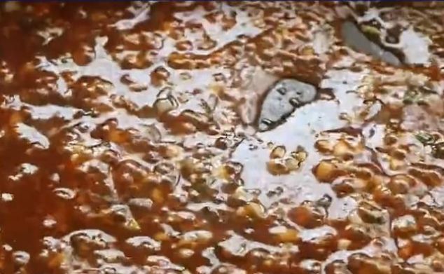 不用|辣椒炒鸡蛋新做法,不用炒不用腌,上桌就被抢光光