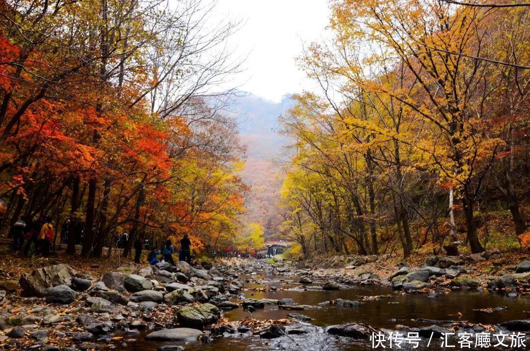  地方|10个适合秋天一个人旅行的地方