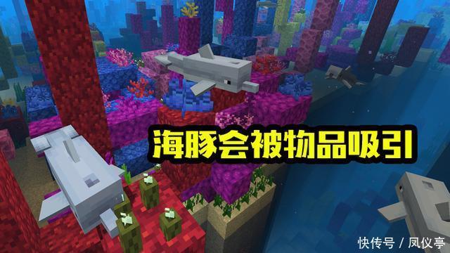 游戏中|《我的世界》“海豚”的九个趣味知识，海豚在水里居然也会淹死？