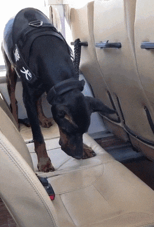 搞笑|搞笑GIF:单身30年,我什么没见过!