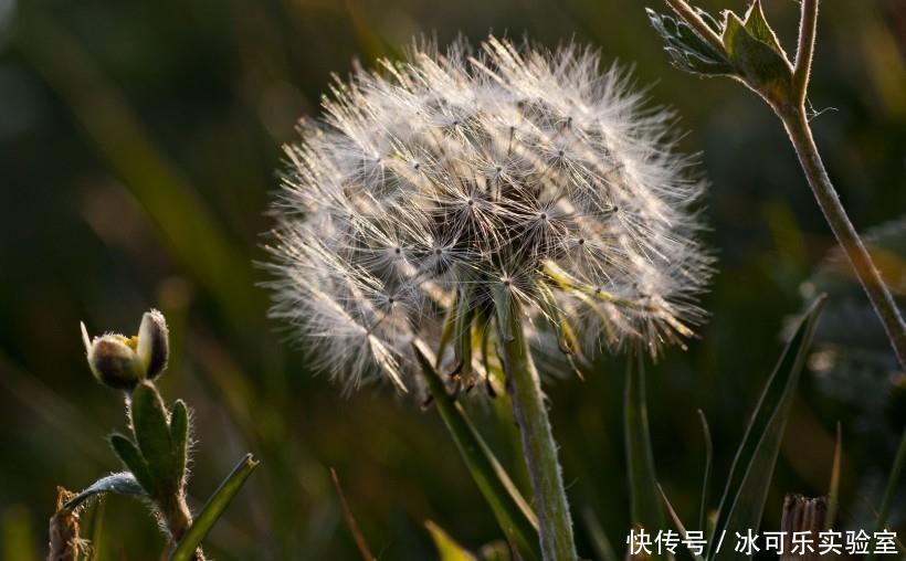 组合|这两个生肖做夫妻，感情特别深厚，在一起就是天长地久！