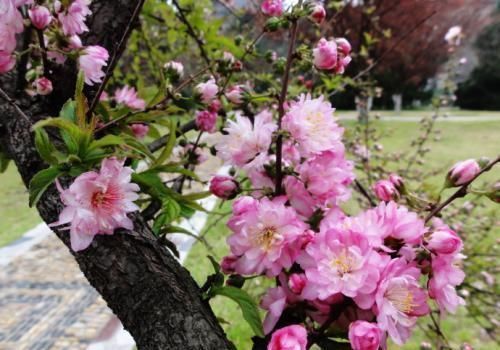  钱财|恭喜，生日是农历这六天的人，一生大吉大利，百事顺利，钱财多多