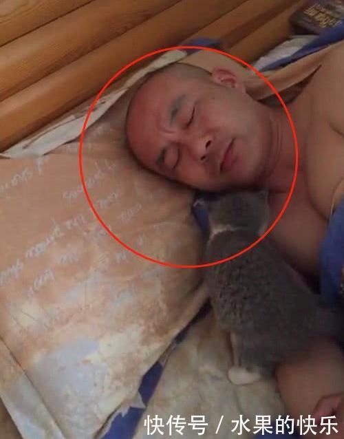 钻进|小猫钻进主人的被窝,结果主人的表情笑喷了,猫:你不爱我了吗?