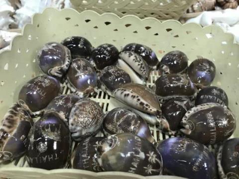 这家|这家店卖了3年的“假鲍鱼”,曝光后生意更好,顾客说出了原因