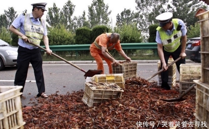  路上|高速路上出现翻车事故，当高速交警赶到时，被眼前这画面惊呆了