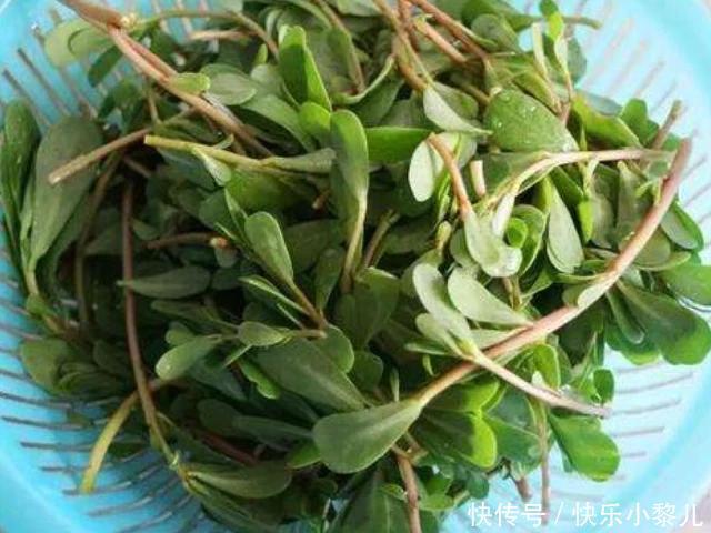 孕妇|孕妇别吃4种蔬菜,再喜欢也要忌嘴,对胎儿的伤害非常大