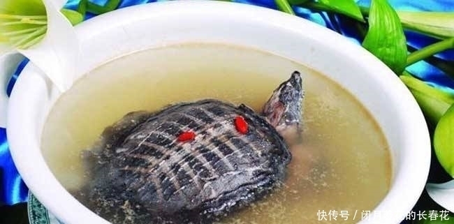 中国美食|5道最“残忍”的美食前两个能忍,最后一个忍不了