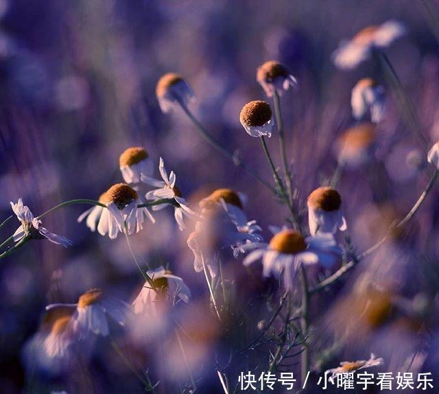 则你将一无|朋友圈心灵鸡汤语录,耐人寻味