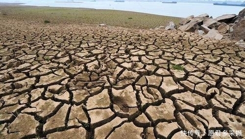 条件|古代发生蝗灾,灾民为何宁可挨饿也不抓蝗虫吃?灾民:想吃但不能