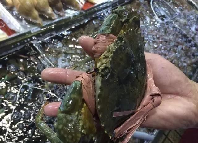 海鲜|世界上65种珍奇海鲜,贝爷都不敢说全部吃过,你吃过几种