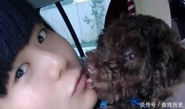  检查|女子与泰迪狗同吃同睡, 三个月后肚子痛苦万分, 检查后女子羞哭了