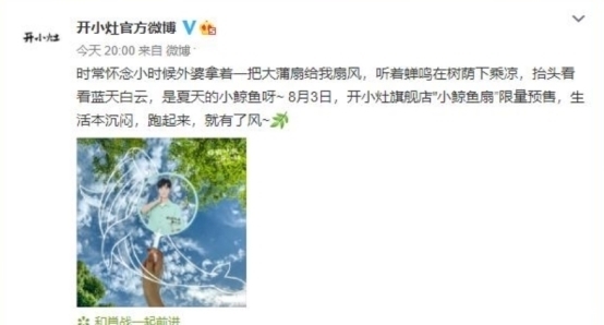  扇子|肖战周边鲸鱼小扇子爆火，一把扇子有什么值得抢的？原因在这里