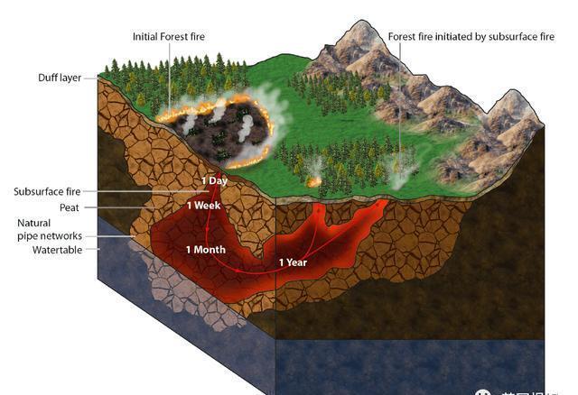 图源|北极圈着火!气温直逼38度,科学家恐冰川融化远古病毒复活