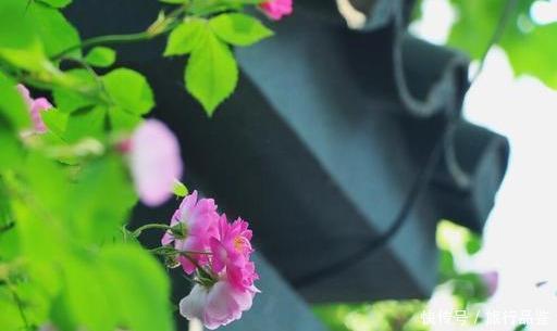 线路|用最佳的徒步线路,丈量南京六百年的古城墙