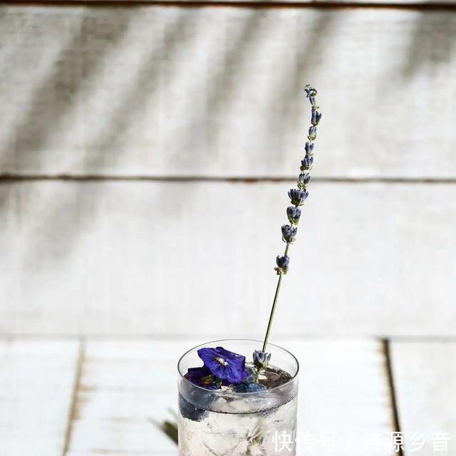 广州瑰丽酒|9月欲望清单丨 野奢营地小住，网红展览开幕