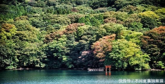  日本|在日本只住酒店就傻了，去日本人也爱住的这种旅馆，要注意这些事