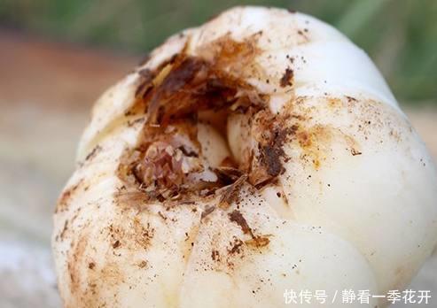 女人味|女人不想老太快,多吃这些碱性食物,激发女性激素,更有女人味!